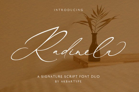 Radinela Typeface Review for Modern Web Design